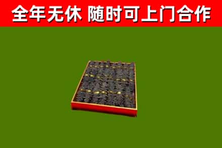 遂川县回收海参